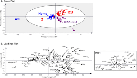 Figure 3: