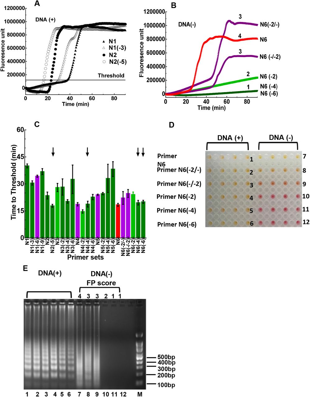 Developing Rt Lamp Assays For Detection Of Sars Cov 2 In Saliva Medrxiv