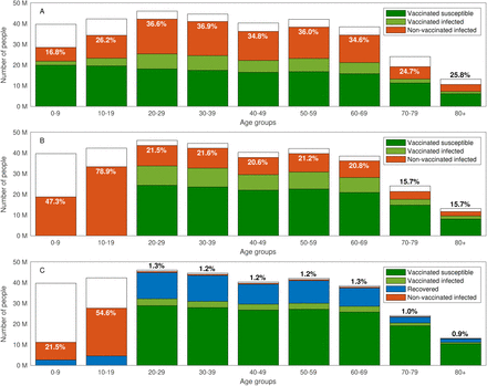 Figure 3: