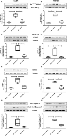 Figure 4: