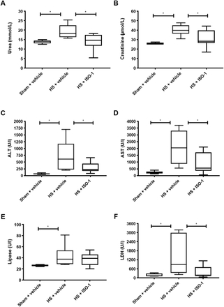 Figure 6: