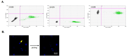 Supplementary Figure 3.