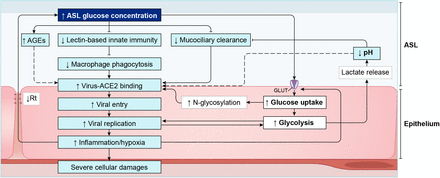 Figure 20: