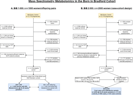 Figure 1A and 1B: