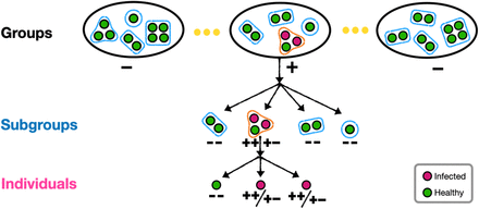 Figure 2: