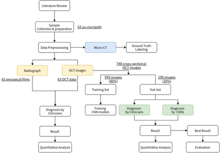 Figure 7: