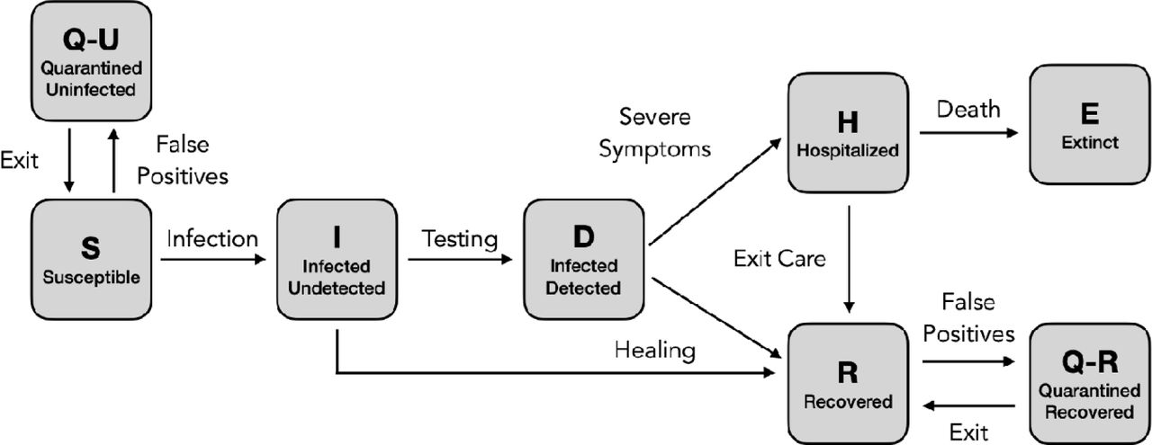 Validating and modeling the impact of high frequency rapid antigen