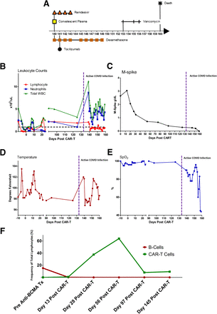 Supplementary Figure S1: