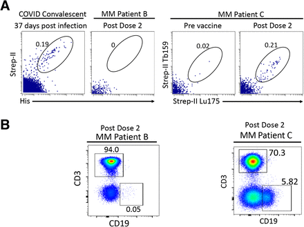 Supplementary Figure S2: