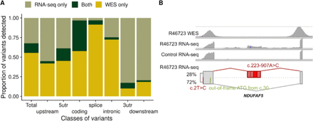 Fig. 6: