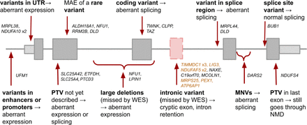 Fig 7.