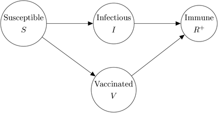 Figure 11: