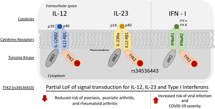 Fig 3.