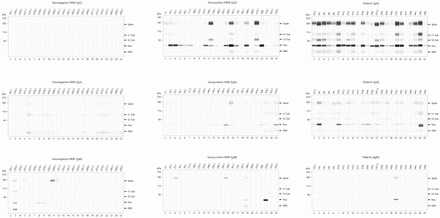 Figure 5: