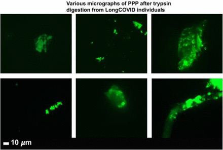 Figure 5: