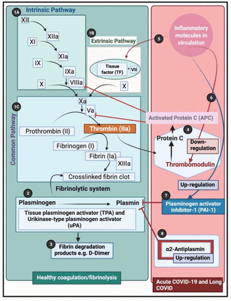 Figure 7: