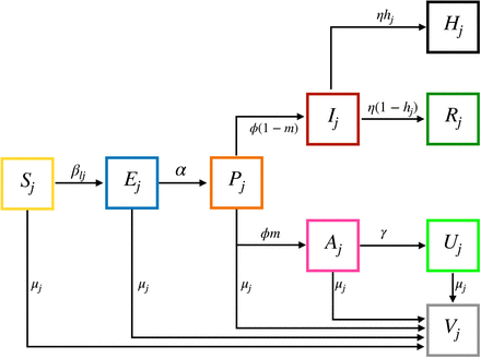 Fig 1.