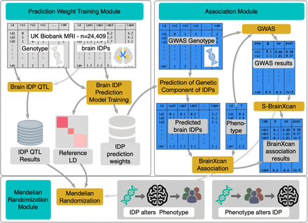 Figure 1: