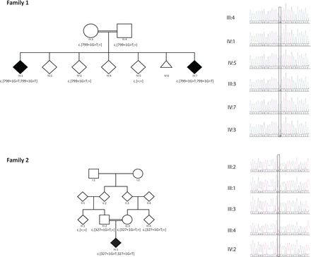 FIGURE 1: