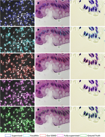 Figure 6: