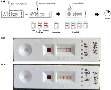 Fig 1.