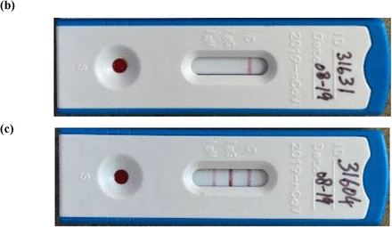 Fig 2.