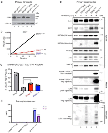 Fig. 2: