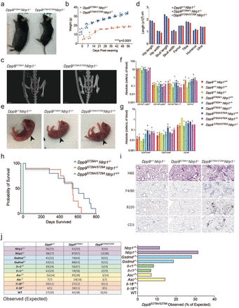 Fig. 3: