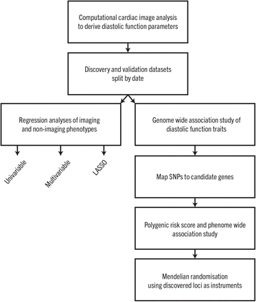 Extended Data Figure 1.