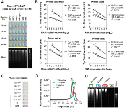 Figure 2: