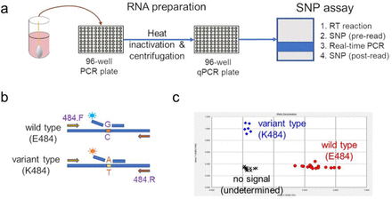 Extended Data Figure 1.