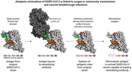 Figure 6.