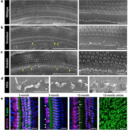 Fig. 4: