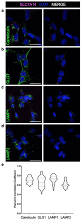 Fig. 6: