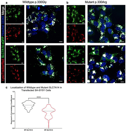 Fig. 7: