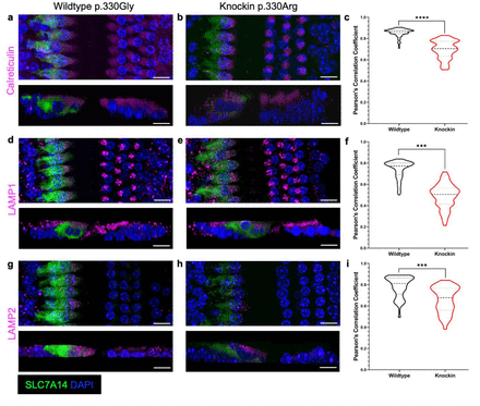 Fig. 8: