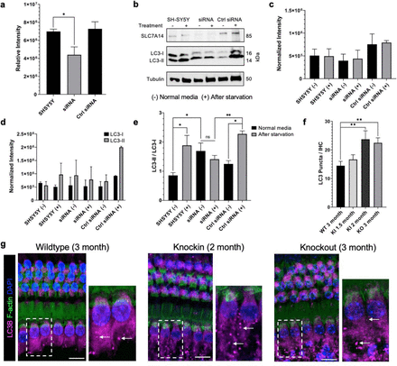 Fig. 9: