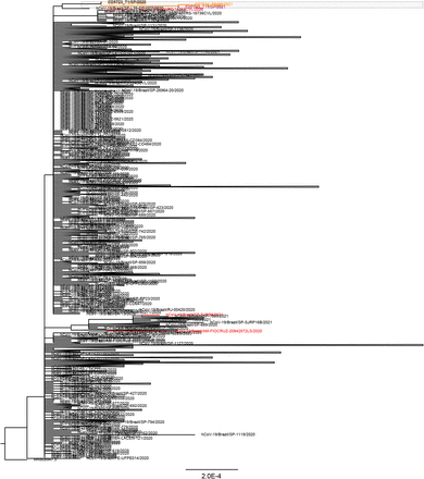 Figure Supplementary