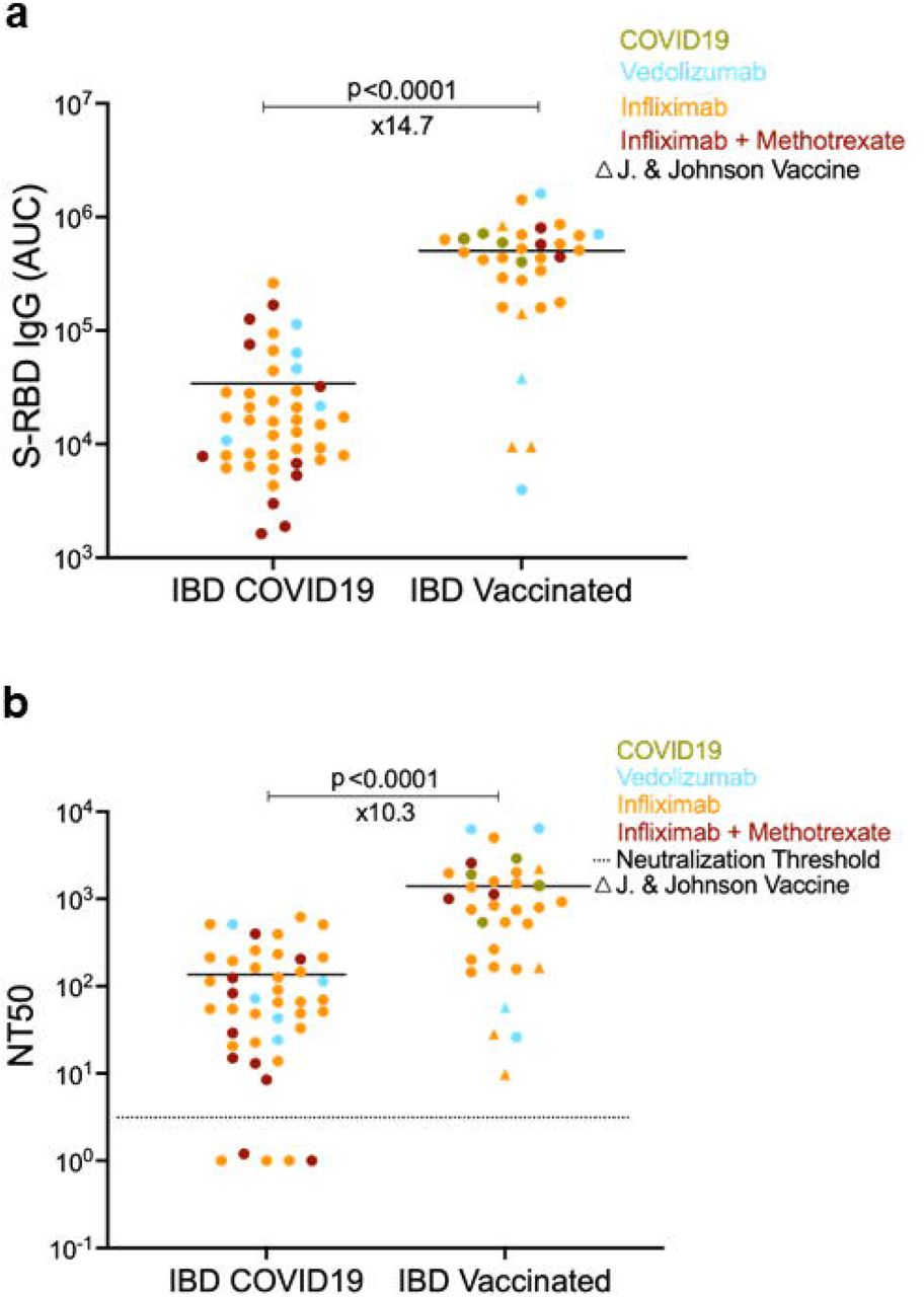 antibody responses to sars cov 2 after infection or vaccination in children and young adults with inflammatory bowel disease medrxiv