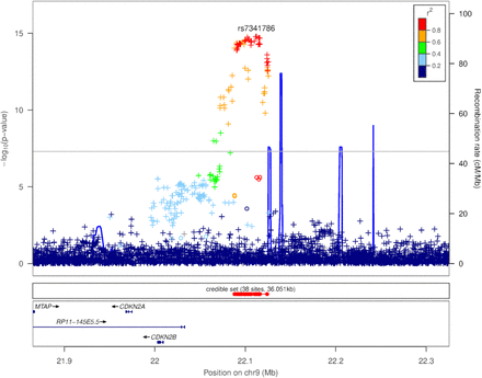 Figure 3: