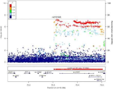 Figure 7: