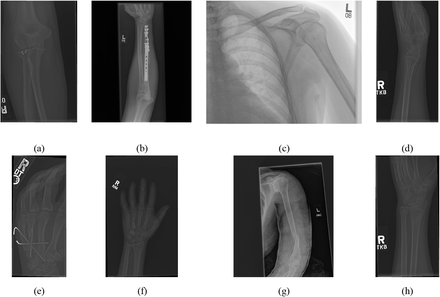 Figure 2.