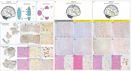 Figure 5: