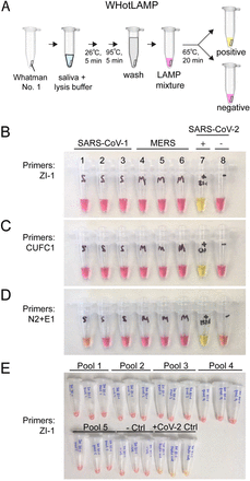 Figure 2: