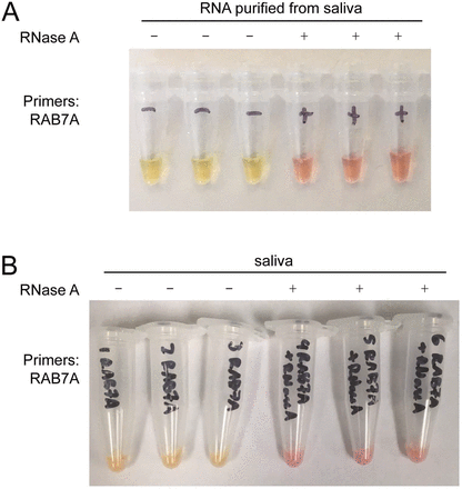 Figure 3: