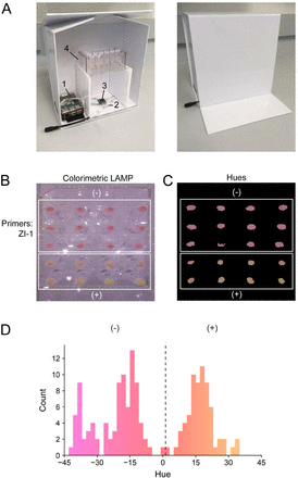 Figure 4: