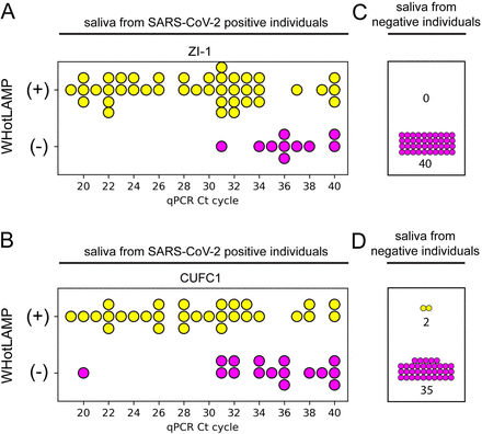 Figure 5: