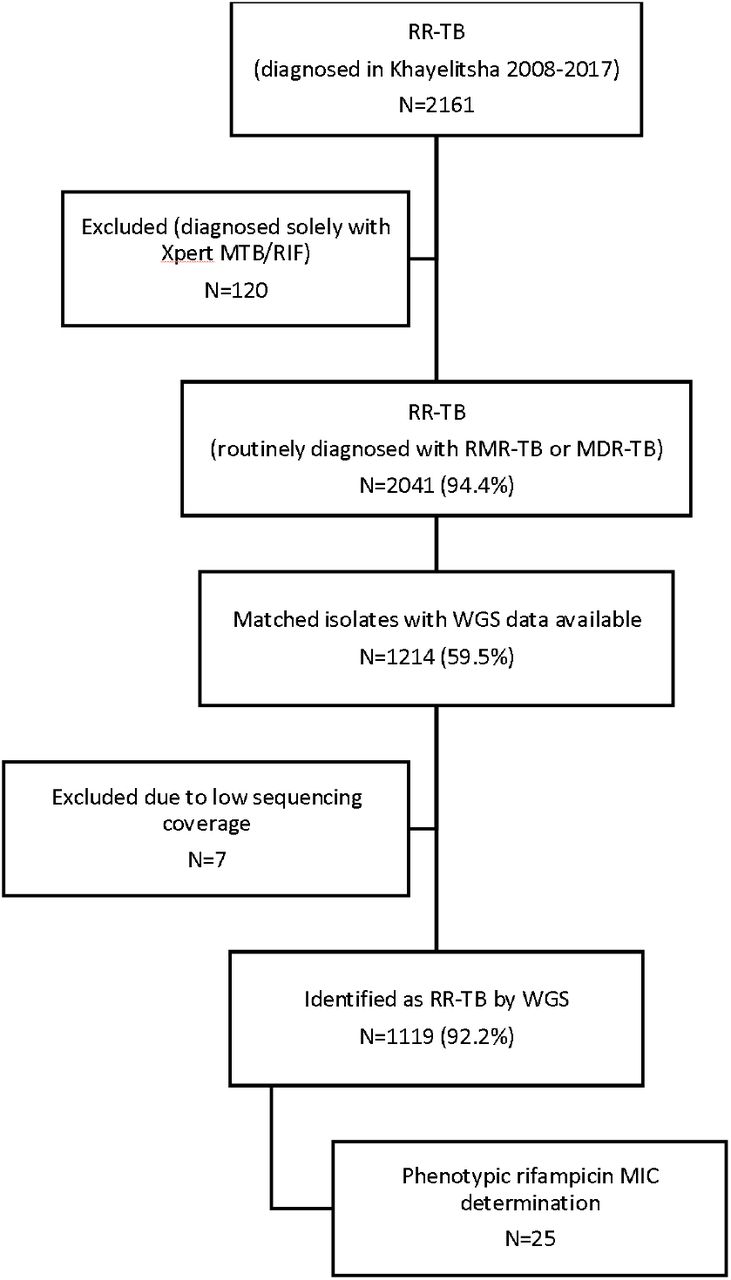 Integrating tuberculosis and COVID-19 molecular testing in Lima, Peru: a  cross-sectional, diagnostic accuracy study - The Lancet Microbe