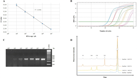 Figure 2: