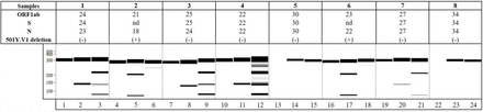 Figure 3: